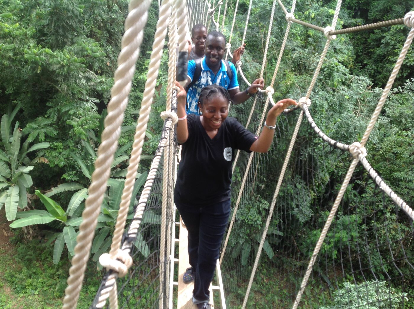 Canopy walkway at Bunso Eco Park in Ghana