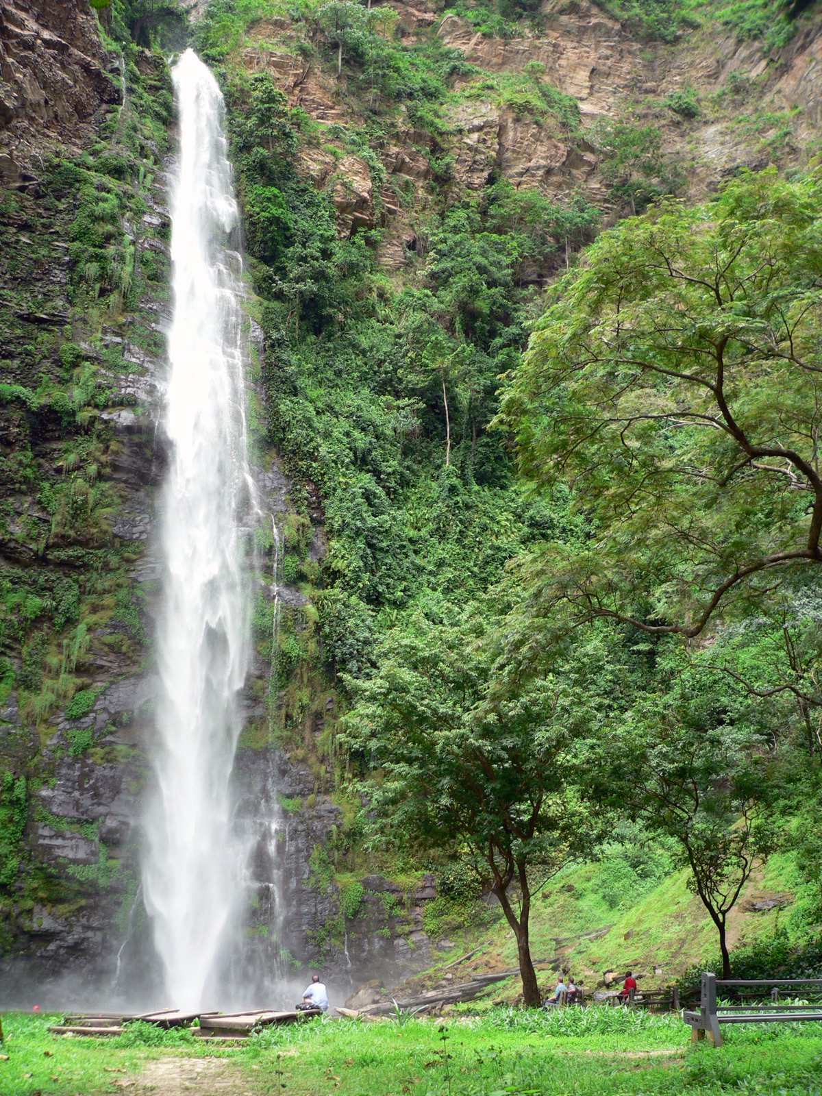 Wli Lower Falls dropping through green forest in Ghana's Volta Region